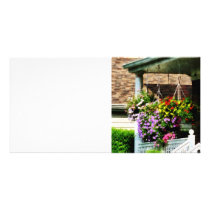 Hanging Baskets
