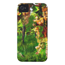 Hanging Grapes on the Vines