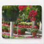 "Hanging Hothouse Geraniums" Mousepad