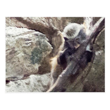"Hanging On" Postcard