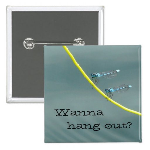 Hanging Out with Damsel Flies Pin