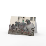 hanging with the boys greeting cards
