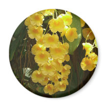 Hanging Yellow Orchids Magnet