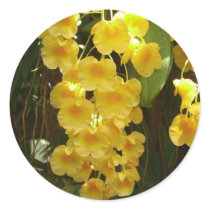 Hanging Yellow Orchids Sticker