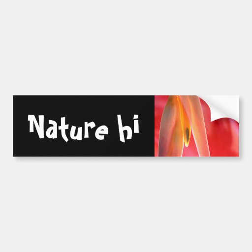 hangup bumper sticker