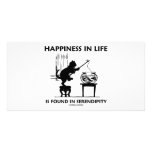 Happiness In Life Is Found In Serendipity (Cat) photo cards