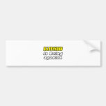 Happiness...Spanish Bumper Sticker