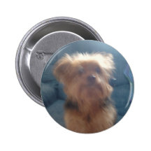 HAPPINESSS IS BEING A PET OWNER!