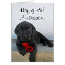 Happy 35th Anniversary Labrador puppy card