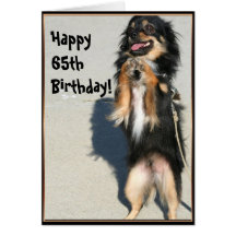 Happy 65th birthday Chihuahua greeting card