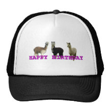 Happy (alpaca)  birthday mesh hats