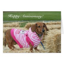 Happy Anniversary Dachshund greeting card