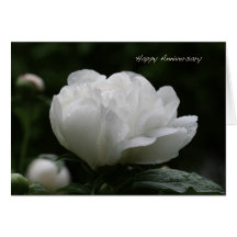 Happy Anniversary Greeting Card