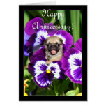 Happy Anniversary Pug in pansies card
