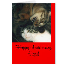 Happy Anniversary, Tiger! Greeting Cards