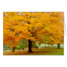 Happy Autumn ! Greeting Cards