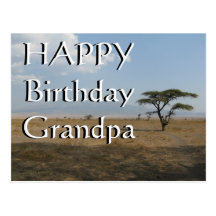 Happy B-day Grandpa Serengeti Plains Postcard