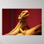 Happy Bearded Dragon Print