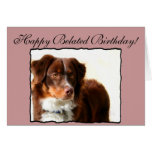 Happy Belated Birthday Australian Shepherd card