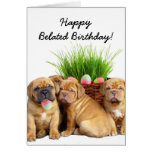 Happy Belated Birthday Dogue de Bordeaux pups card