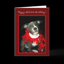 Happy Belated Birthday Pitbull puppy greeting card