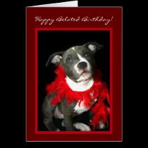 Happy Belated Birthday Pitbull puppy greeting card cards