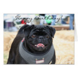 Happy Birthday Black Pug greeting card