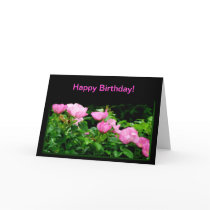 Happy Birthday-Black Rose Trail cards