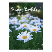 Happy Birthday, Blank, Daisies Cards