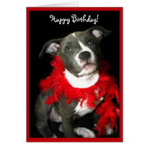 Happy Birthday Blue Pitbull Puppy greeting card