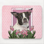 Happy Birthday - Boston & Rat Terrier - Jazy