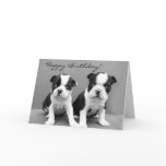Happy Birthday Boston Terrier greeting card