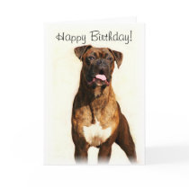 Happy Birthday Boxer dog greeting card