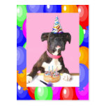 Happy Birthday Boxer dog postcard
