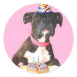 Happy Birthday Boxer dog stickers