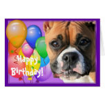 Happy Birthday Boxer greeting card