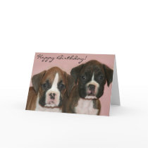 Happy Birthday Boxer Puppies greeting card