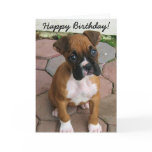 Happy Birthday Boxer puppy greeting card