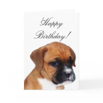 Happy Birthday Boxer puppy greeting card