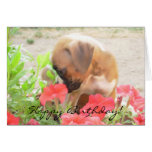 Happy Birthday Boxer puppy greeting card