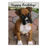 Happy Birthday Boxer puppy greeting card