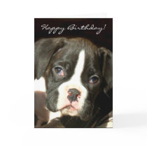 Happy Birthday Brindle boxer puppy greeting card