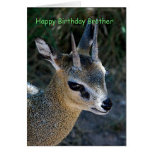 Happy Birthday Brother Greeting Card