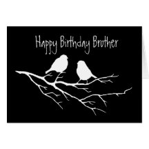Happy Birthday Brother Special Friend, Two Birds Greeting Card