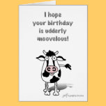Happy Birthday Bull! cards