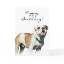 Happy birthday bulldog greeting card