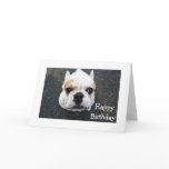 Happy Birthday Bulldog Greeting Card - Verse