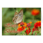 Happy Birthday Butterfly Card
