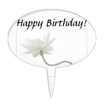 HAPPY BIRTHDAY! CAKE PICKS