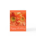Happy Birthday Greeting Cards